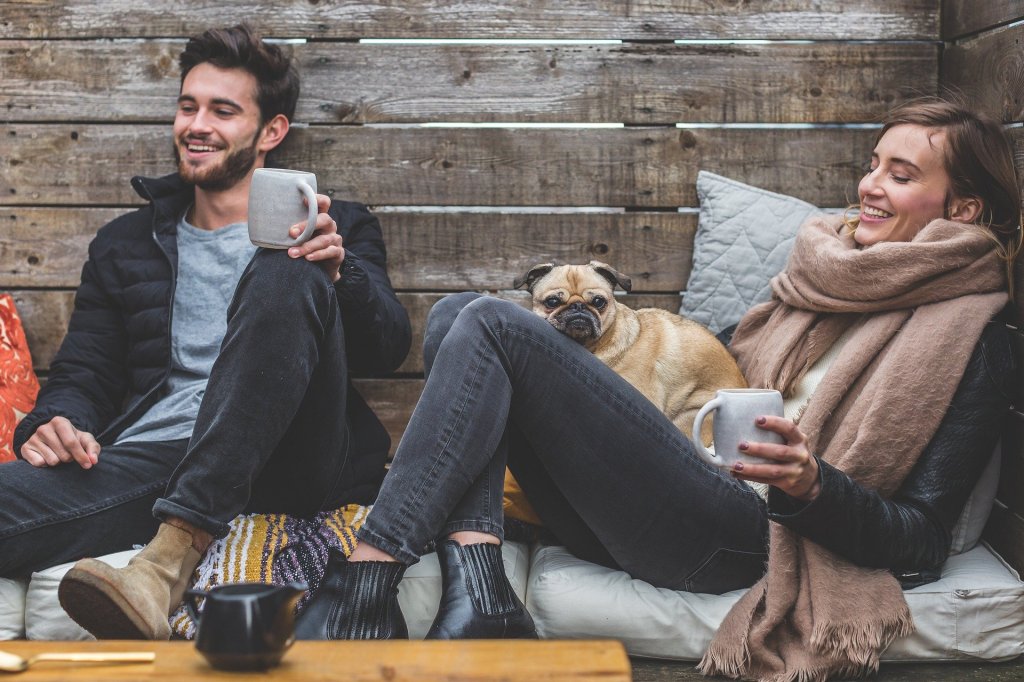 Increased presence of pets in hotels